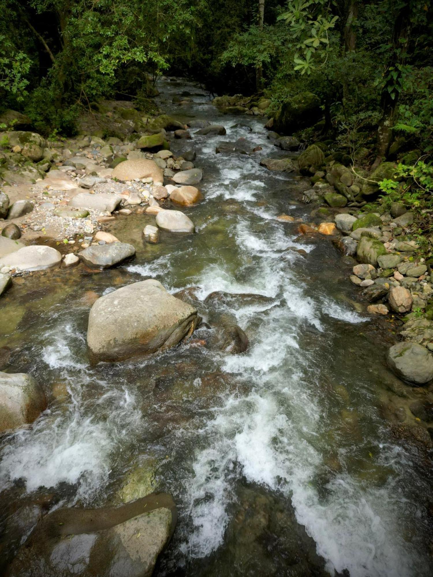Las Cabanas Del Rio Minca Kültér fotó